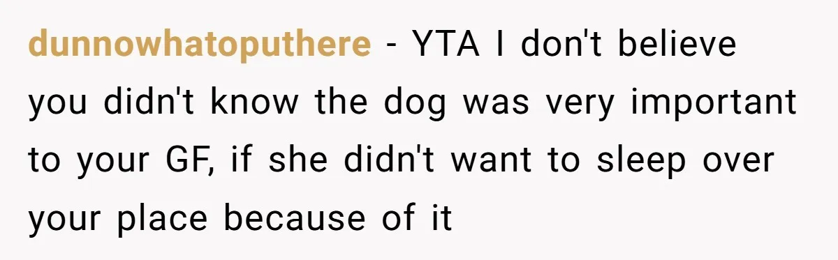 dunnowhatoputhere − YTA I don't believe you didn't know the dog was very important to your GF, if she didn't want to sleep over your place because of it
