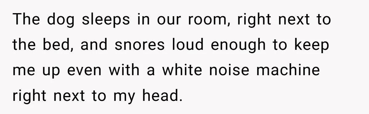 The dog sleeps in our room, right next to the bed, and snores loud enough to keep me up even with a white noise machine right next to my head.