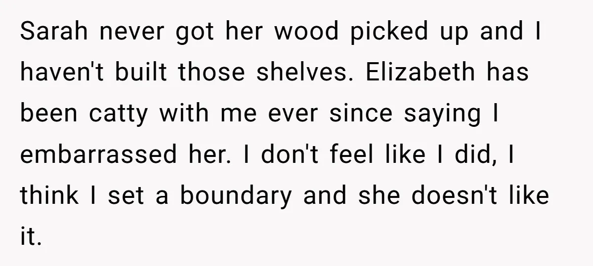 Sarah never got her wood picked up and I haven't built those shelves. Elizabeth has been catty with me ever since saying I embarrassed her. I don't feel like I...