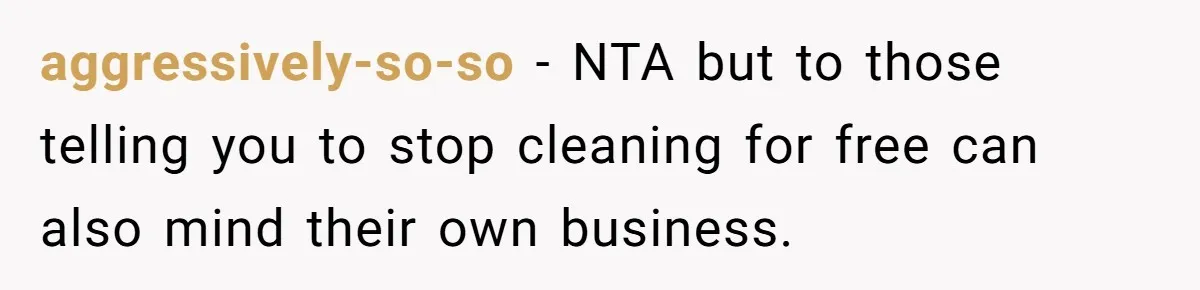 aggressively-so-so − NTA but to those telling you to stop cleaning for free can also mind their own business.