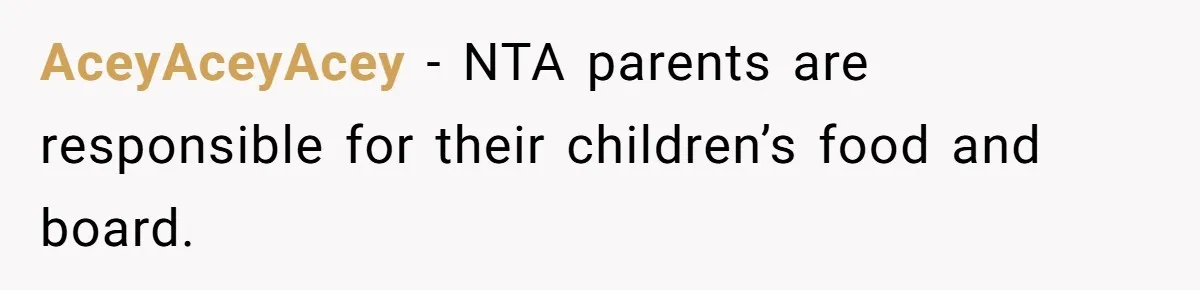 AceyAceyAcey − NTA parents are responsible for their children’s food and board.