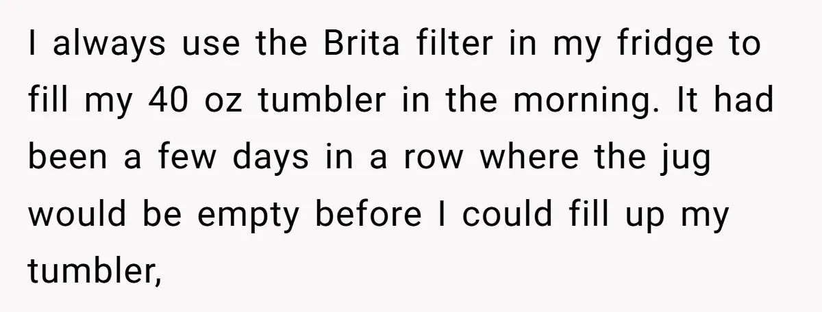 I always use the Brita filter in my fridge to fill my 40 oz tumbler in the morning. It had been a few days in a row where the jug...