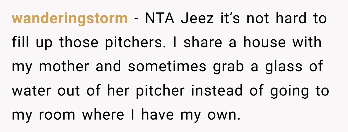 wanderingstorm − NTA Jeez it’s not hard to fill up those pitchers. I share a house with my mother and sometimes grab a glass of water out of her pitcher...
