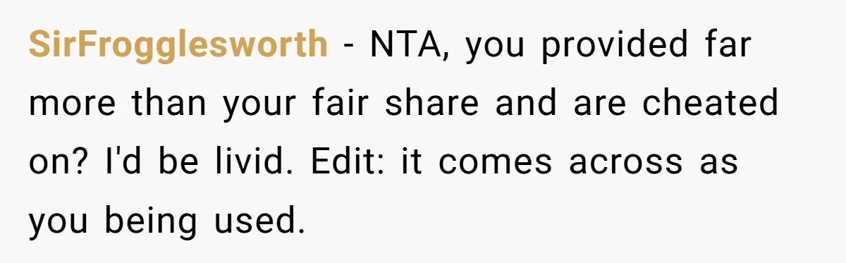 SirFrogglesworth − NTA, you provided far more than your fair share and are cheated on? I'd be livid. Edit: it comes across as you being used.