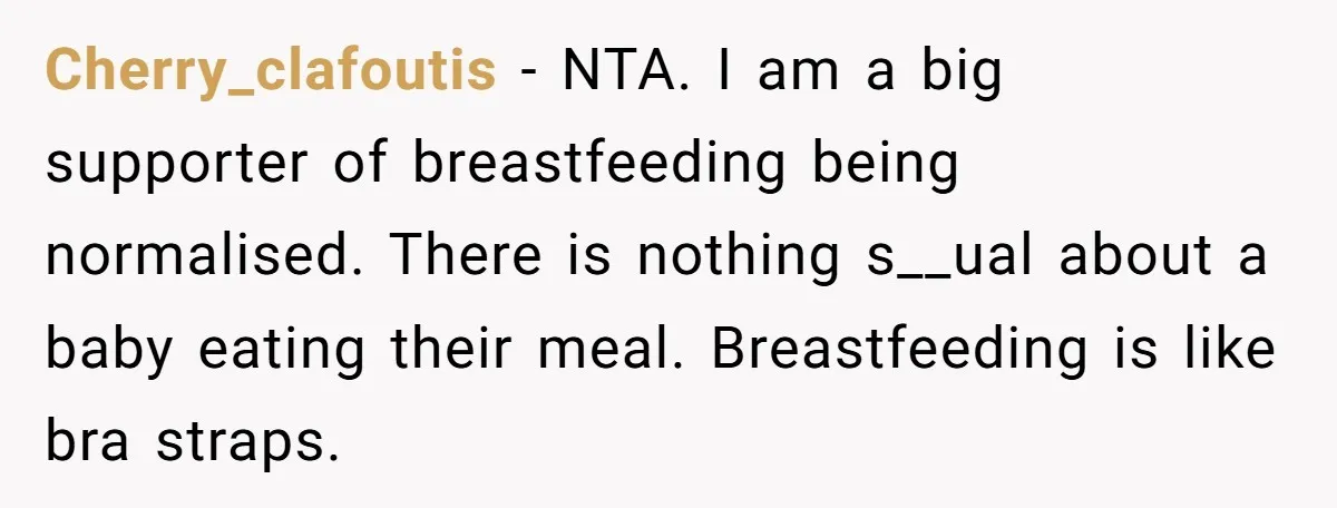Cherry_clafoutis − NTA. I am a big supporter of breastfeeding being normalised. There is nothing s__ual about a baby eating their meal. Breastfeeding is like bra straps.
