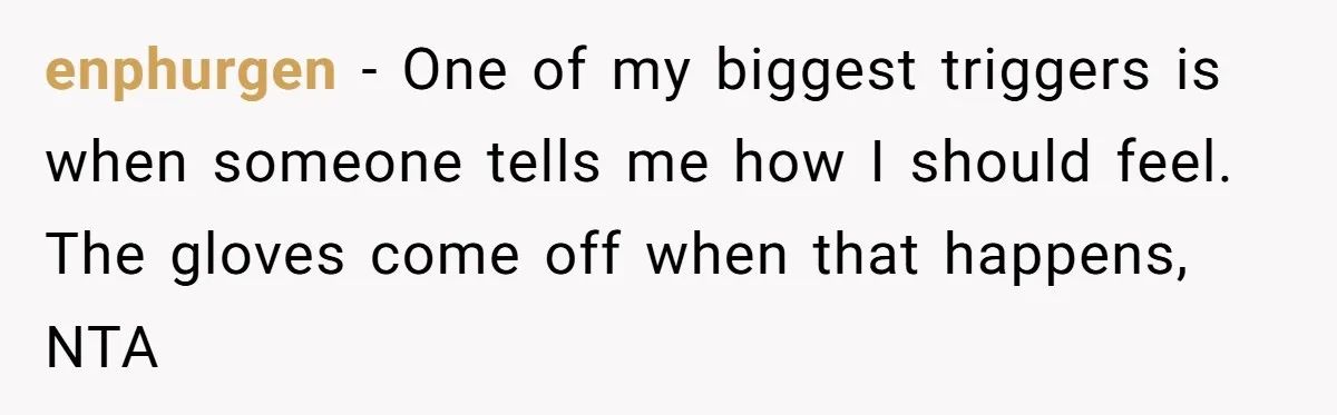 enphurgen − One of my biggest triggers is when someone tells me how I should feel. The gloves come off when that happens, NTA