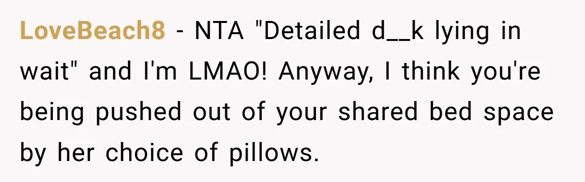 LoveBeach8 − NTA "Detailed d__k lying in wait" and I'm LMAO! Anyway, I think you're being pushed out of your shared bed space by her choice of pillows.