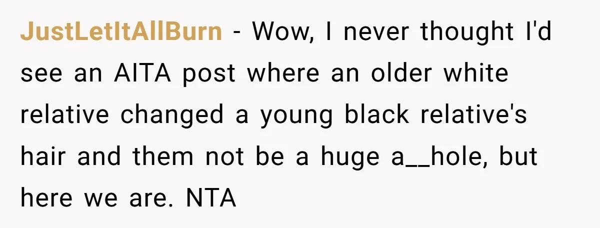 JustLetItAllBurn − Wow, I never thought I'd see an AITA post where an older white relative changed a young black relative's hair and them not be a huge a__hole, but...