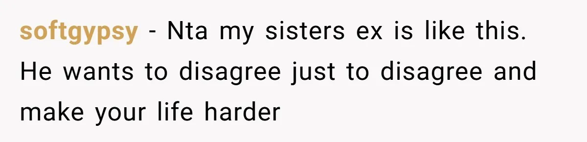 softgypsy − Nta my sisters ex is like this. He wants to disagree just to disagree and make your life harder