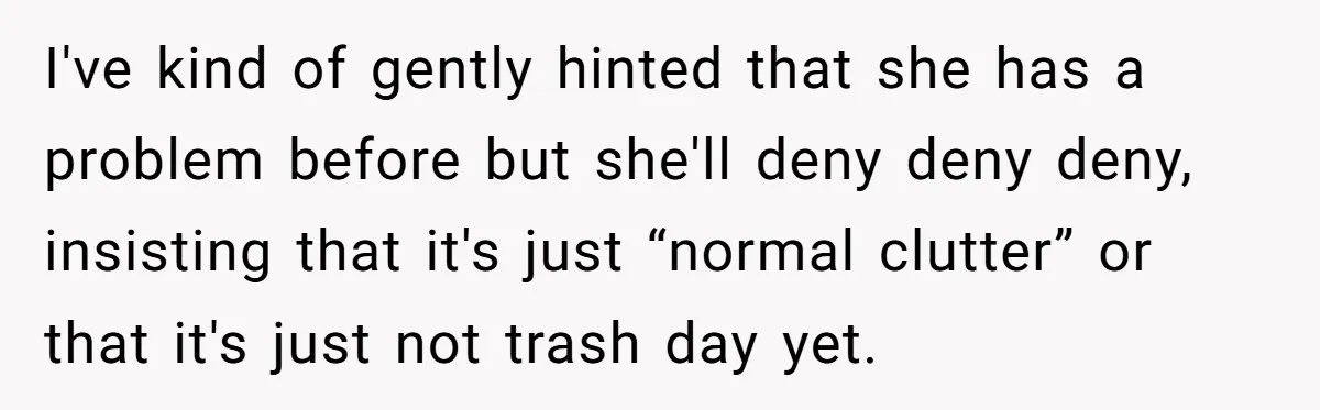 I've kind of gently hinted that she has a problem before but she'll deny deny deny, insisting that it's just “normal clutter” or that it's just not trash day yet.