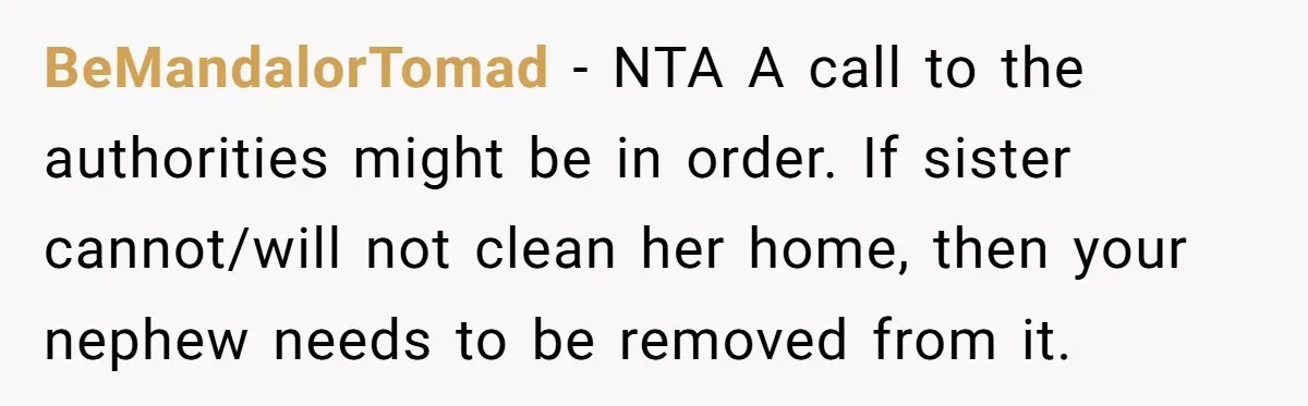 BeMandalorTomad − NTA A call to the authorities might be in order. If sister cannot/will not clean her home, then your nephew needs to be removed from it.