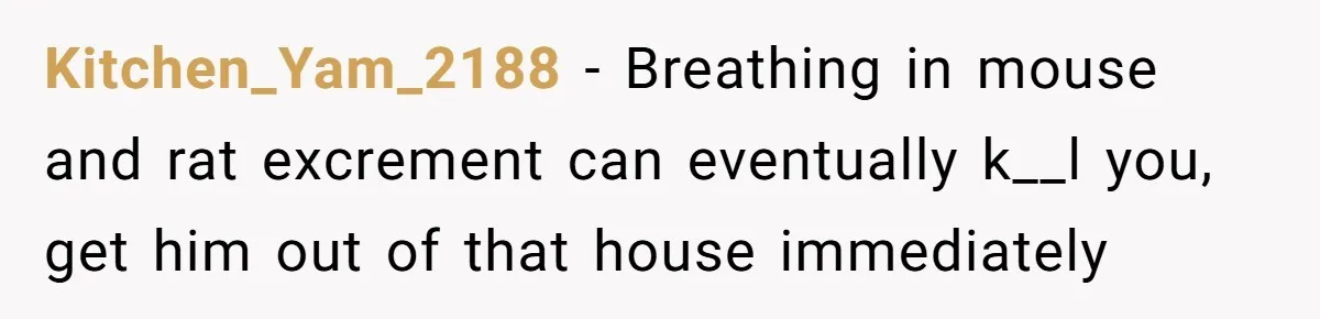 Kitchen_Yam_2188 − Breathing in mouse and rat excrement can eventually k__l you, get him out of that house immediately