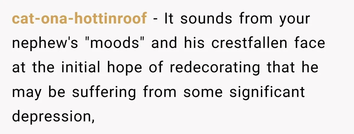 cat-ona-hottinroof − It sounds from your nephew's "moods" and his crestfallen face at the initial hope of redecorating that he may be suffering from some significant depression,