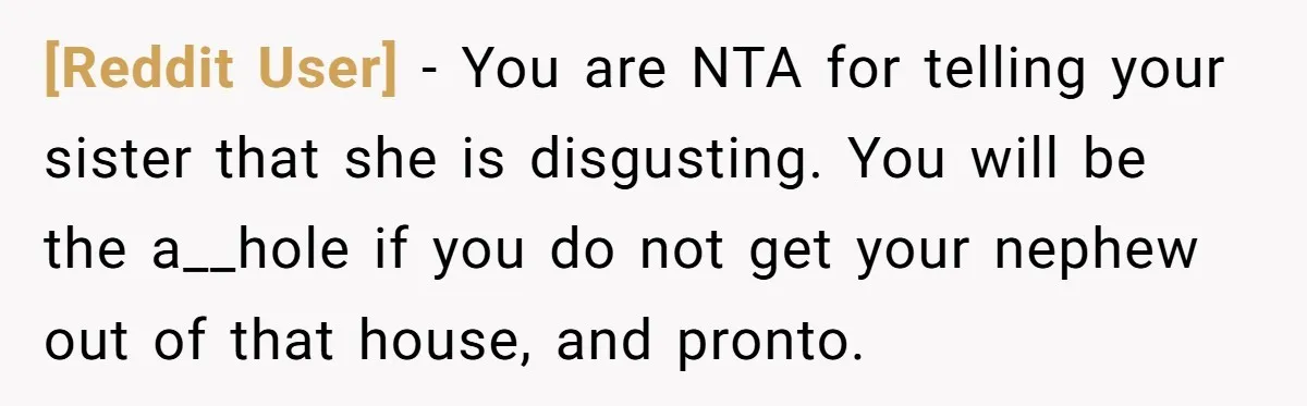 [Reddit User] − You are NTA for telling your sister that she is disgusting. You will be the a__hole if you do not get your nephew out of that house,...