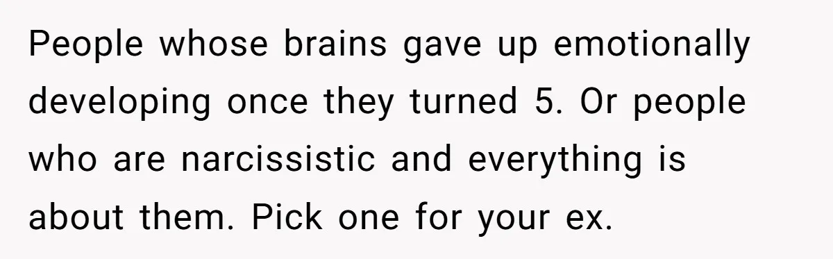 People whose brains gave up emotionally developing once they turned 5. Or people who are narcissistic and everything is about them. Pick one for your ex.