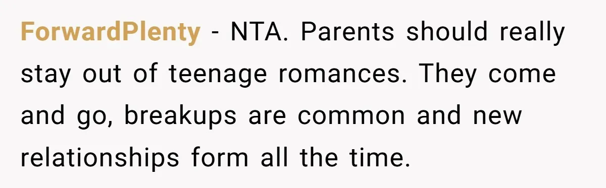 ForwardPlenty − NTA. Parents should really stay out of teenage romances. They come and go, breakups are common and new relationships form all the time.