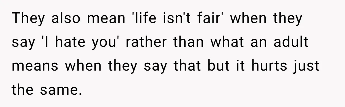 They also mean 'life isn't fair' when they say 'I hate you' rather than what an adult means when they say that but it hurts just the same.