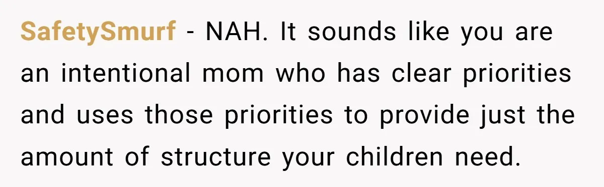 SafetySmurf − NAH. It sounds like you are an intentional mom who has clear priorities and uses those priorities to provide just the amount of structure your children need.