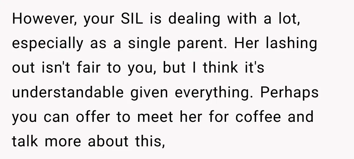 However, your SIL is dealing with a lot, especially as a single parent. Her lashing out isn't fair to you, but I think it's understandable given everything. Perhaps you can...