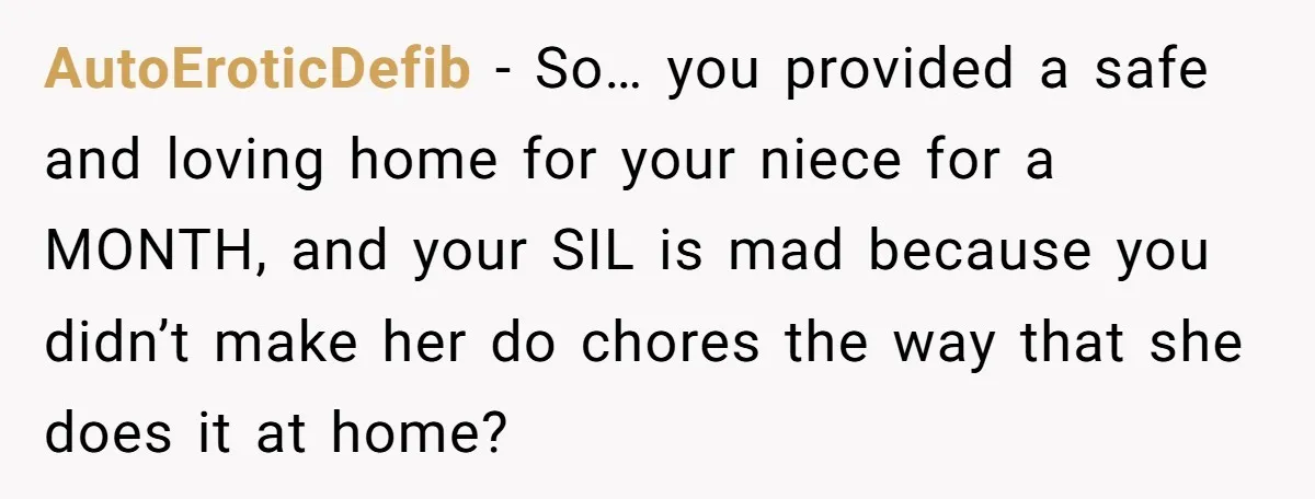 AutoEroticDefib − So… you provided a safe and loving home for your niece for a MONTH, and your SIL is mad because you didn’t make her do chores the way...