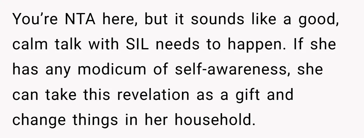You’re NTA here, but it sounds like a good, calm talk with SIL needs to happen. If she has any modicum of self-awareness, she can take this revelation as a...