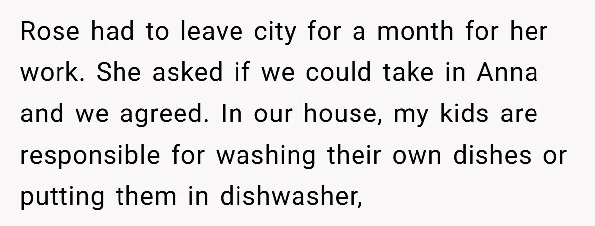 Rose had to leave city for a month for her work. She asked if we could take in Anna and we agreed. In our house, my kids are responsible for...