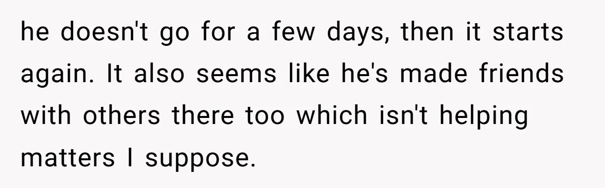 he doesn't go for a few days, then it starts again. It also seems like he's made friends with others there too which isn't helping matters I suppose.