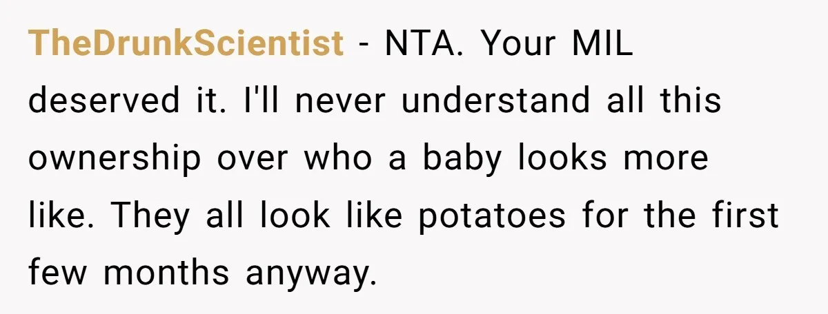 TheDrunkScientist − NTA. Your MIL deserved it. I'll never understand all this ownership over who a baby looks more like. They all look like potatoes for the first few months...