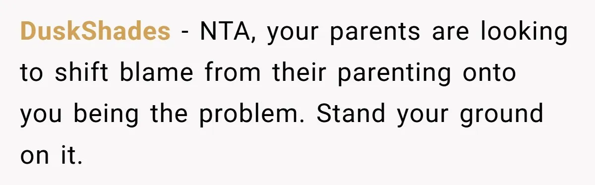 DuskShades − NTA, your parents are looking to shift blame from their parenting onto you being the problem. Stand your ground on it.