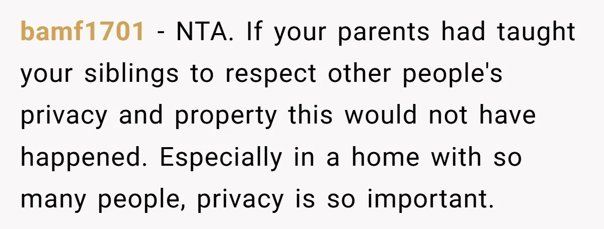 bamf1701 − NTA. If your parents had taught your siblings to respect other people's privacy and property this would not have happened. Especially in a home with so many people,...