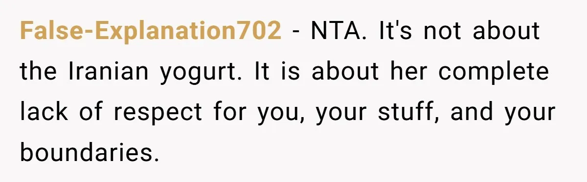 False-Explanation702 − NTA. It's not about the Iranian yogurt. It is about her complete lack of respect for you, your stuff, and your boundaries.