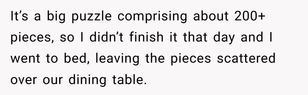 It’s a big puzzle comprising about 200+ pieces, so I didn’t finish it that day and I went to bed, leaving the pieces scattered over our dining table.