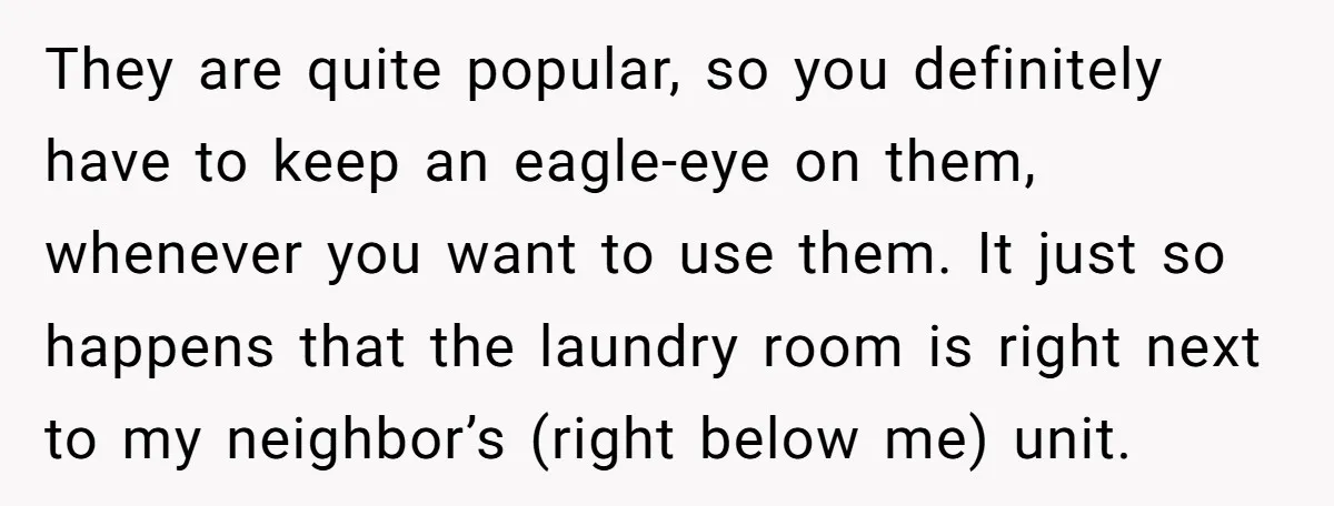 They are quite popular, so you definitely have to keep an eagle-eye on them, whenever you want to use them. It just so happens that the laundry room is right...