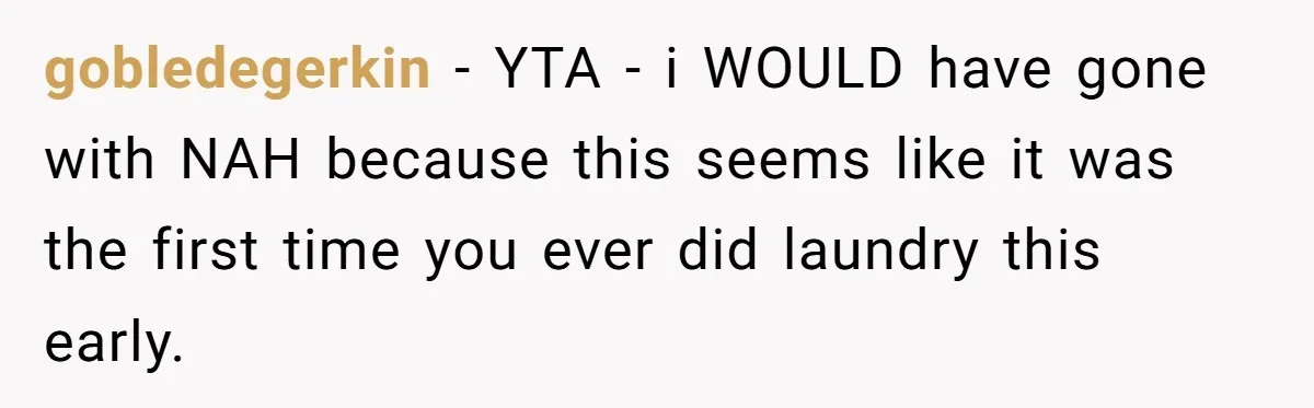 gobledegerkin − YTA - i WOULD have gone with NAH because this seems like it was the first time you ever did laundry this early.