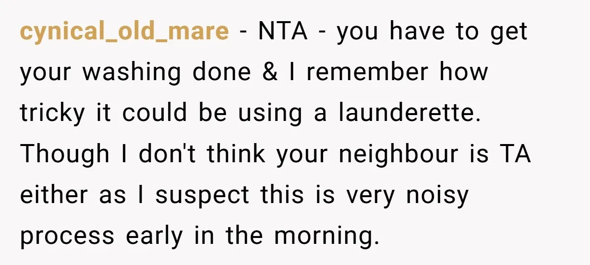 cynical_old_mare − NTA - you have to get your washing done & I remember how tricky it could be using a launderette. Though I don't think your neighbour is TA...