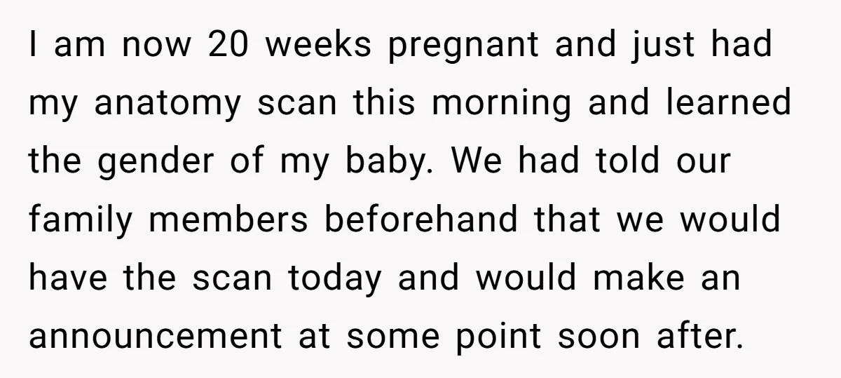I am now 20 weeks pregnant and just had my anatomy scan this morning and learned the gender of my baby. We had told our family members beforehand that we...