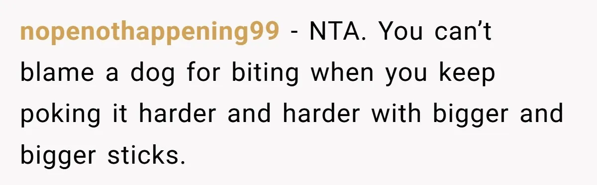 nopenothappening99 − NTA. You can’t blame a dog for biting when you keep poking it harder and harder with bigger and bigger sticks.