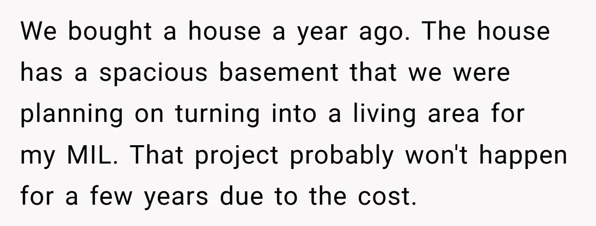 We bought a house a year ago. The house has a spacious basement that we were planning on turning into a living area for my MIL. That project probably won't...