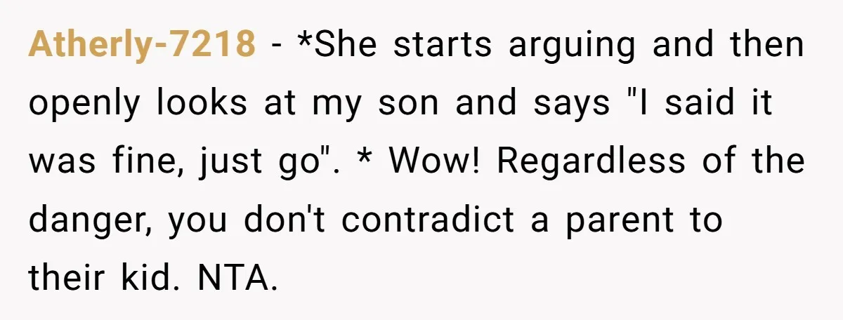 Atherly-7218 − *She starts arguing and then openly looks at my son and says "I said it was fine, just go". * Wow! Regardless of the danger, you don't contradict...