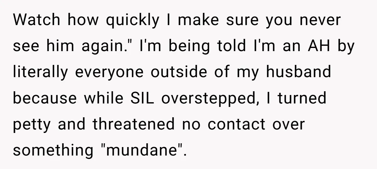 Watch how quickly I make sure you never see him again." I'm being told I'm an AH by literally everyone outside of my husband because while SIL overstepped, I turned...