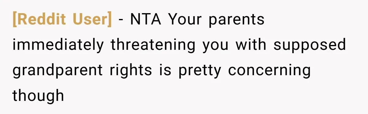 [Reddit User] − NTA Your parents immediately threatening you with supposed grandparent rights is pretty concerning though