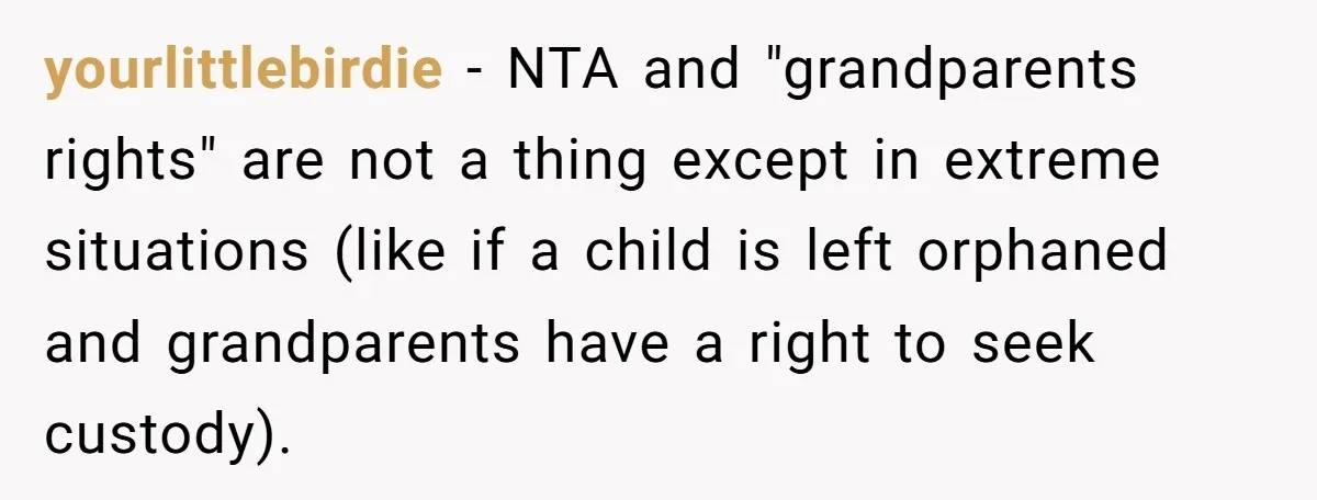 yourlittlebirdie − NTA and "grandparents rights" are not a thing except in extreme situations (like if a child is left orphaned and grandparents have a right to seek custody).