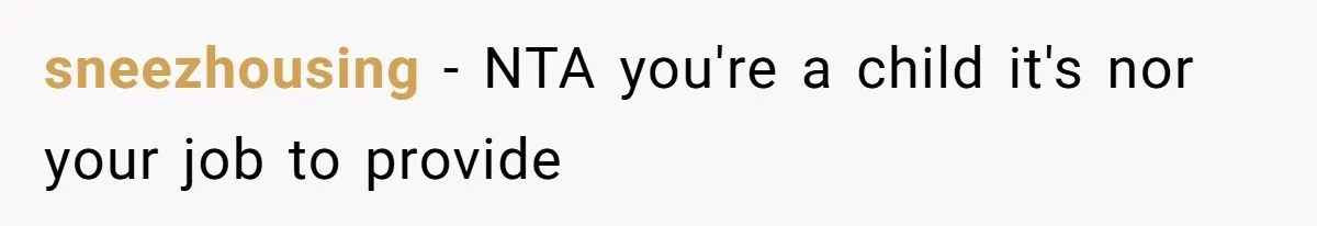 sneezhousing − NTA you're a child it's nor your job to provide