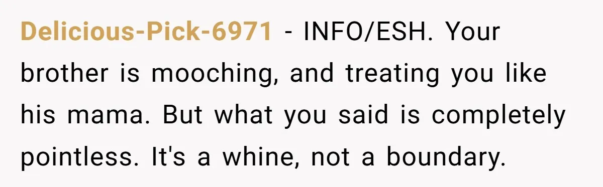 Delicious-Pick-6971 − INFO/ESH. Your brother is mooching, and treating you like his mama. But what you said is completely pointless. It's a whine, not a boundary.