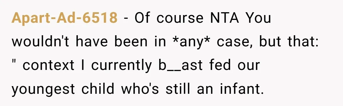 Apart-Ad-6518 − Of course NTA You wouldn't have been in *any* case, but that: " context I currently b__ast fed our youngest child who's still an infant.