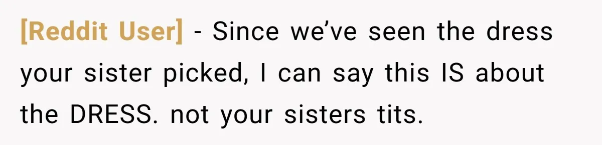 [Reddit User] − Since we’ve seen the dress your sister picked, I can say this IS about the DRESS. not your sisters tits.