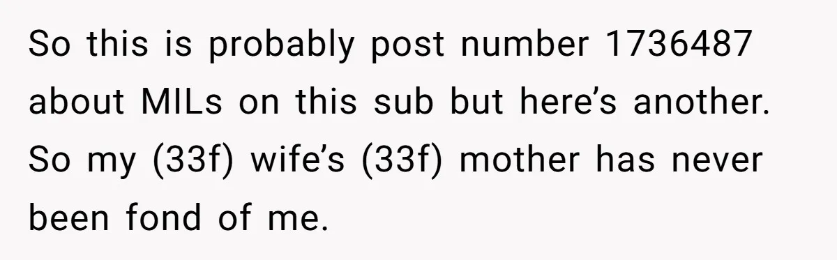 So this is probably post number 1736487 about MILs on this sub but here’s another. So my (33f) wife’s (33f) mother has never been fond of me.