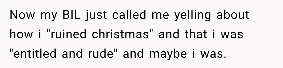 Now my BIL just called me yelling about how i "ruined christmas" and that i was "entitled and rude" and maybe i was.