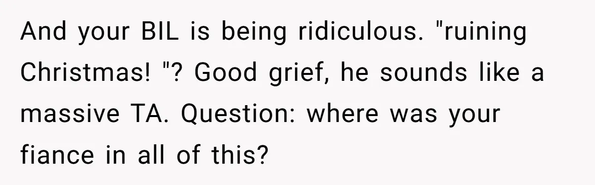 And your BIL is being ridiculous. "ruining Christmas! "? Good grief, he sounds like a massive TA. Question: where was your fiance in all of this?