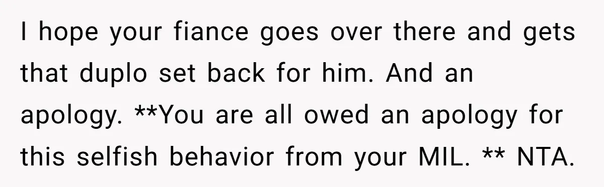 I hope your fiance goes over there and gets that duplo set back for him. And an apology. **You are all owed an apology for this selfish behavior from your...